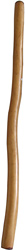 Didgeridoo Eukalyptus